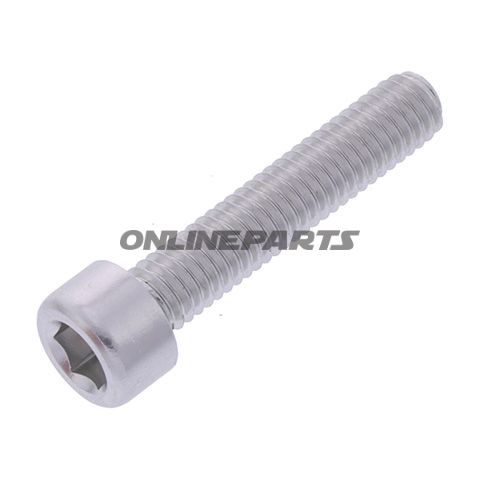 Hex Socket Cap Screw Proboltm6x1.00Mm 30Mm Alu Silver