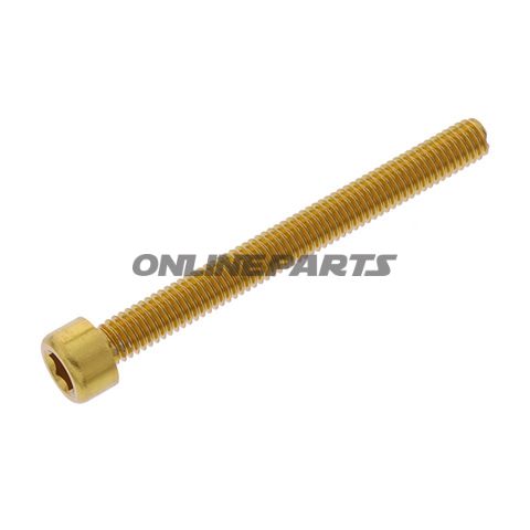 Hex Socket Cap Screw Proboltm6x1.00Mm 60Mm Alu Gold