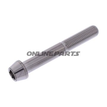 Cone Head Bolt Proboltm10x1.25Mm 70Mm Stainless Steel A4