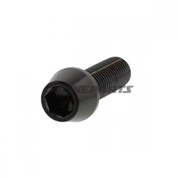 Cone Head Bolt Proboltm10x1.25Mm 30Mm Stainless Steel A4 Black