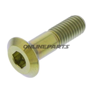 Screw Rear Sprocket Proboltm8x1.25Mm 31Mm Titan Gold