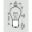 Bulb 6V21w Jmpba15s 10 Pcs