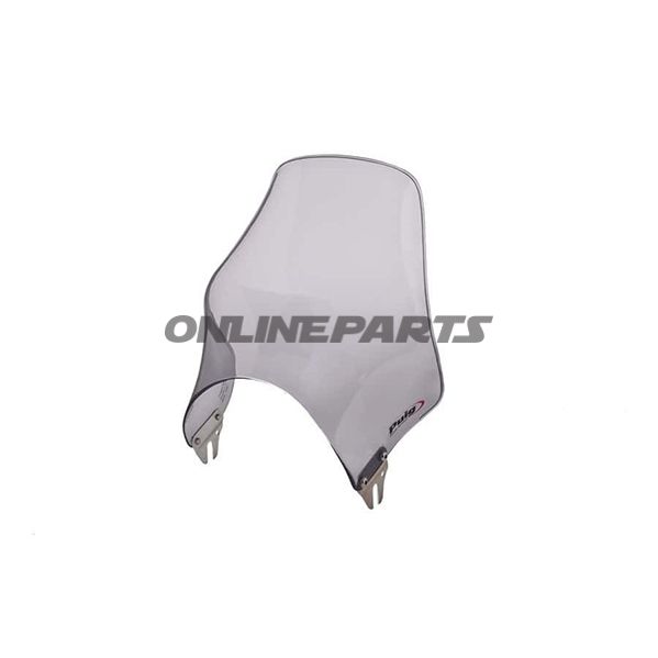 Windshield Naked Puigsmoke Grey