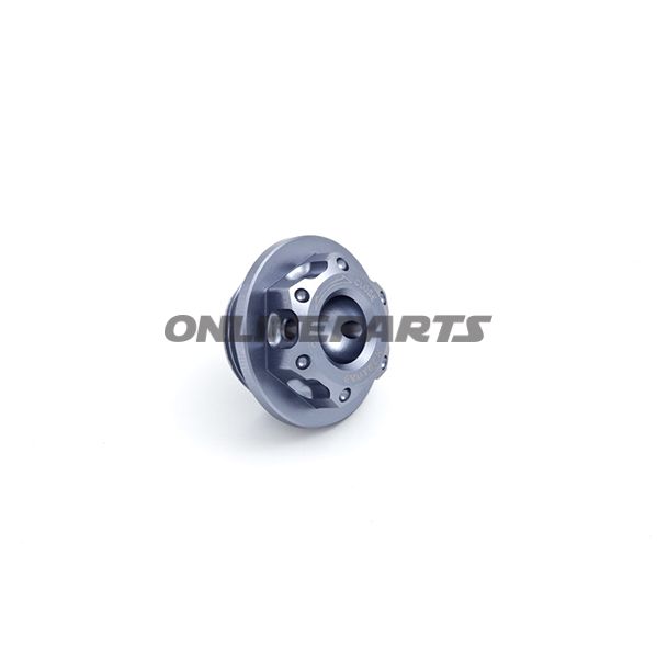 Oil Filler Screw25x1.5Mm Titan