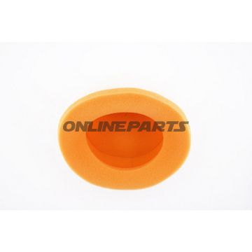 Air Filter Foam Twin Air