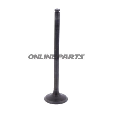 Outlet Valve (Orig Spare Part)