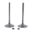 Intake Valve Kit (Orig Spare Part)