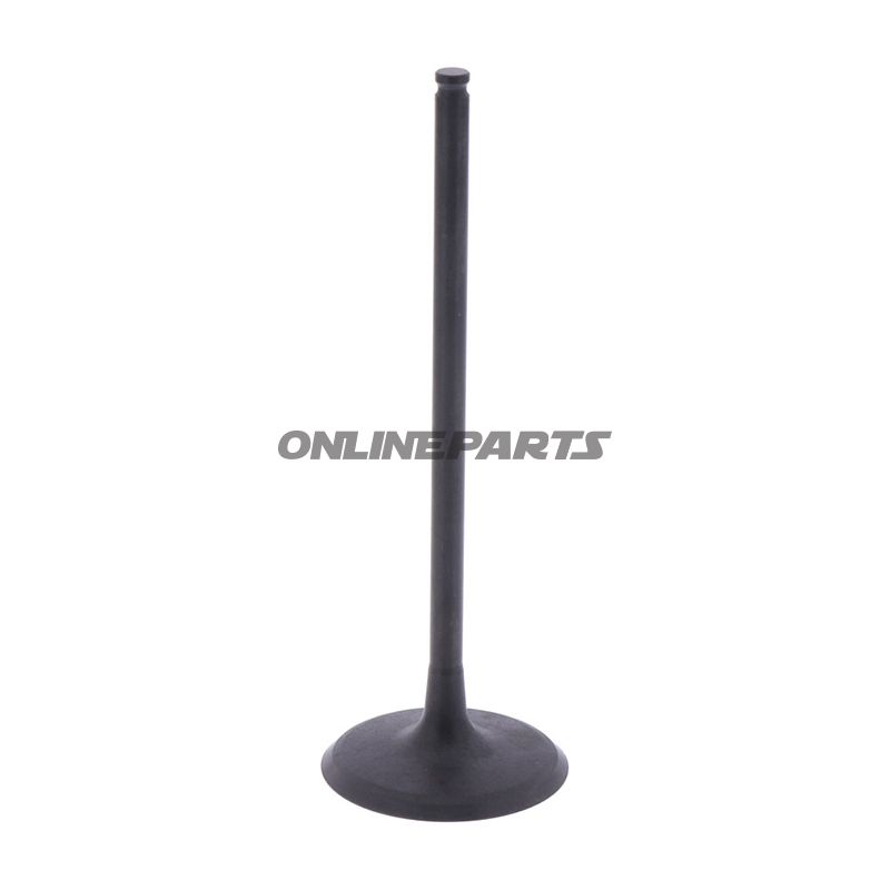 Intake Valve (Orig Spare Part)