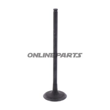 Outlet Valve (Orig Spare Part)