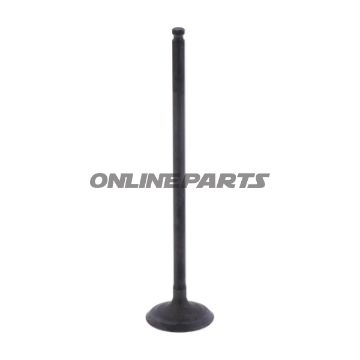 Outlet Valve (Orig Spare Part)