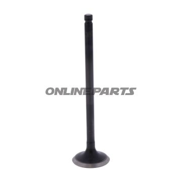 Outlet Valve (Orig Spare Part)