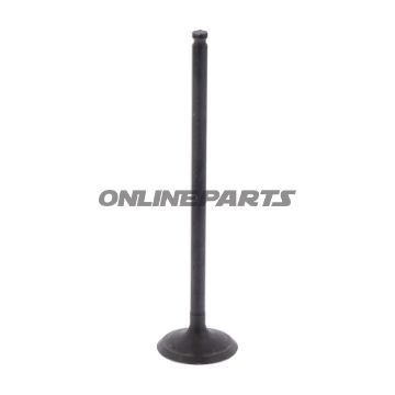 Outlet Valve (Orig Spare Part)