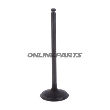 Outlet Valve (Orig Spare Part)