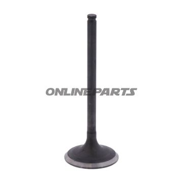 Outlet Valve (Orig Spare Part)