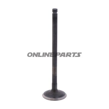 Outlet Valve (Orig Spare Part)