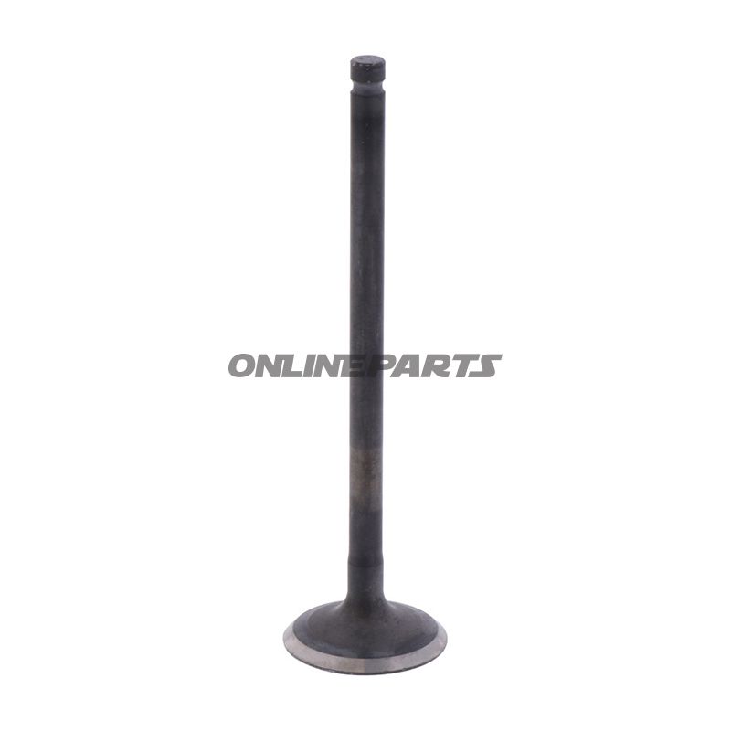 Outlet Valve (Orig Spare Part)