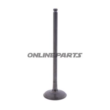 Outlet Valve (Orig Spare Part)