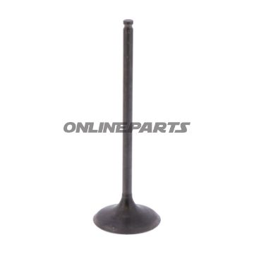 Intake Valve (Orig Spare Part)