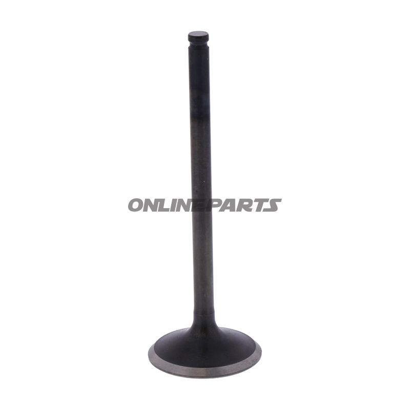 Outlet Valve (Orig Spare Part)