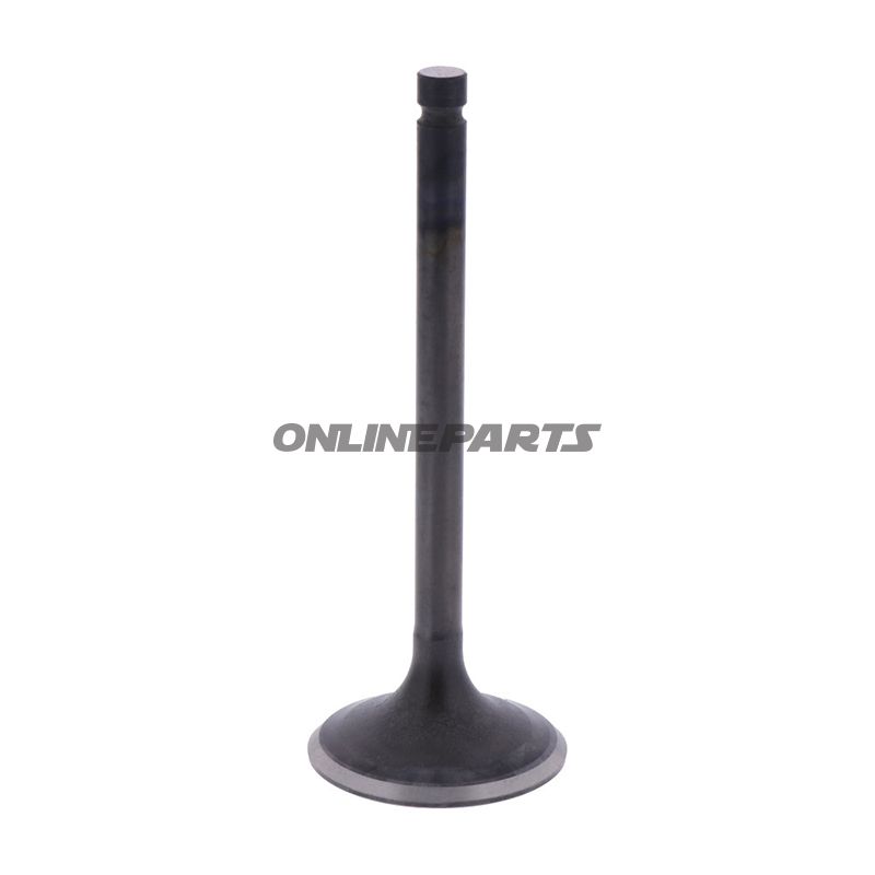 Intake Valve (Orig Spare Part)