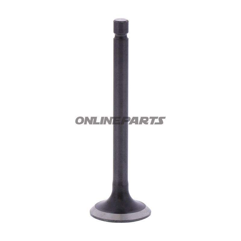 Outlet Valve (Orig Spare Part)