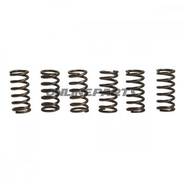 Clutch Spring Kit (6)Ebc