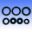 Engine Oil Seal Kit