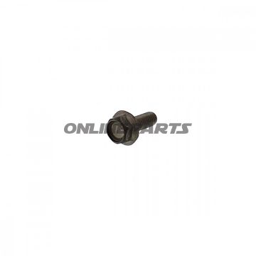 Brake Disc Boltm6x1.0X16mm
