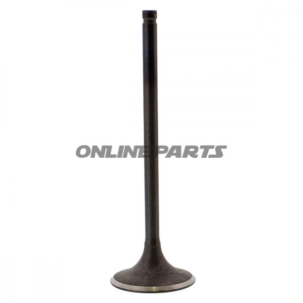 Valve Inletsteel