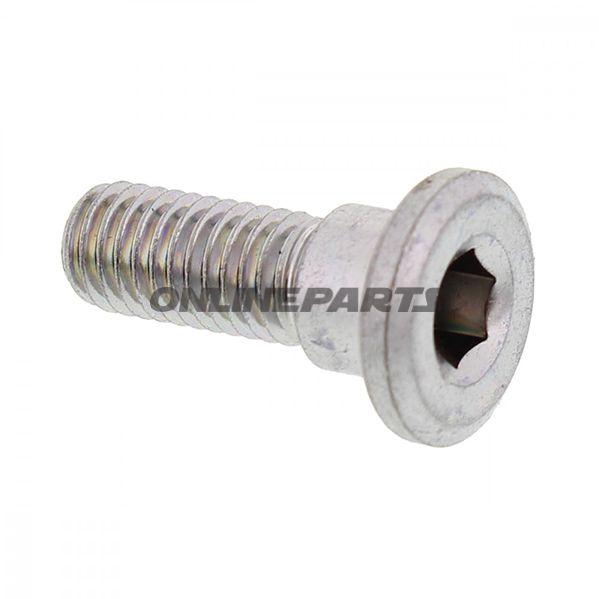 Brake Disc Boltm8x1.25X22mm