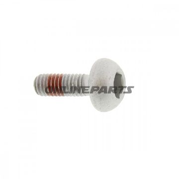 Brake Disc Boltm6x1.0X17mm