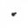 Countersunk Bolt Proboltm5x0.8 15Mm Stainless A4 Black