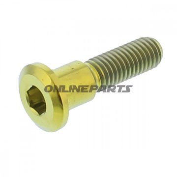 Skrue bremseskive JMP Bolt M8X1.25 mm 33 mm Titan guld