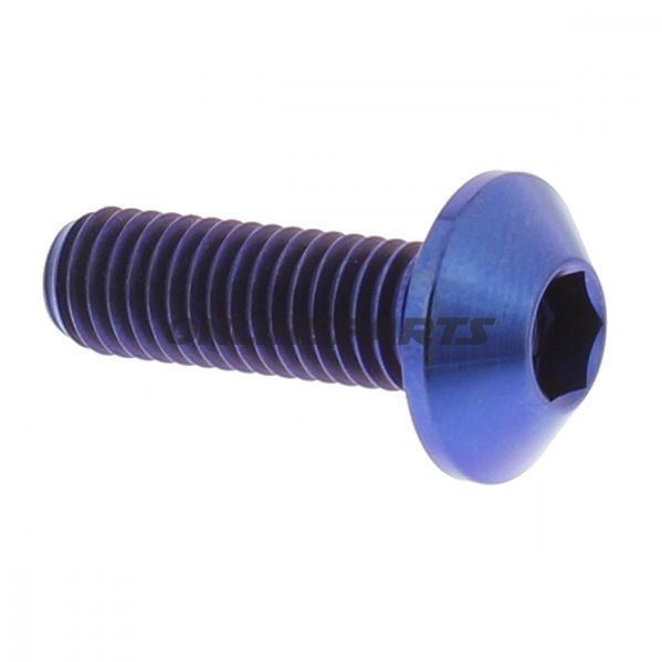 Brake Disc Screw Proboltm8x1.25Mm 25Mm Titan Blue