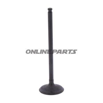 Outlet Valve (Orig Spare Part)