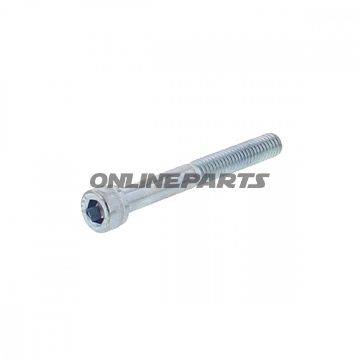 Cylinder Head Screw For Taa2.50 Dg M6x50 Verzinkt