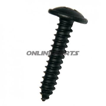 Blechschraube M Torx 4.8X19black V2a