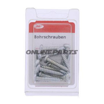Screwdriver 4.8X25 Galvanizedpack 16 Pcs Altn 4802971