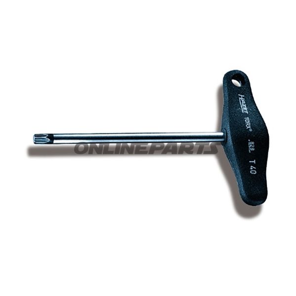 Screwdriver T-Griff T20
