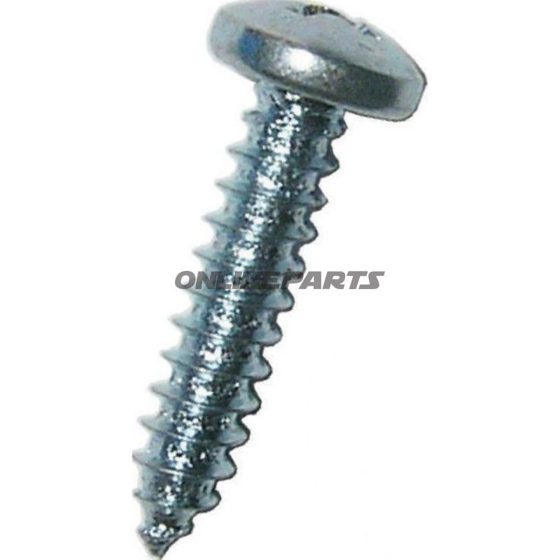 Screws 5.5X16 Din7981 Galv Pack 100 Pieces