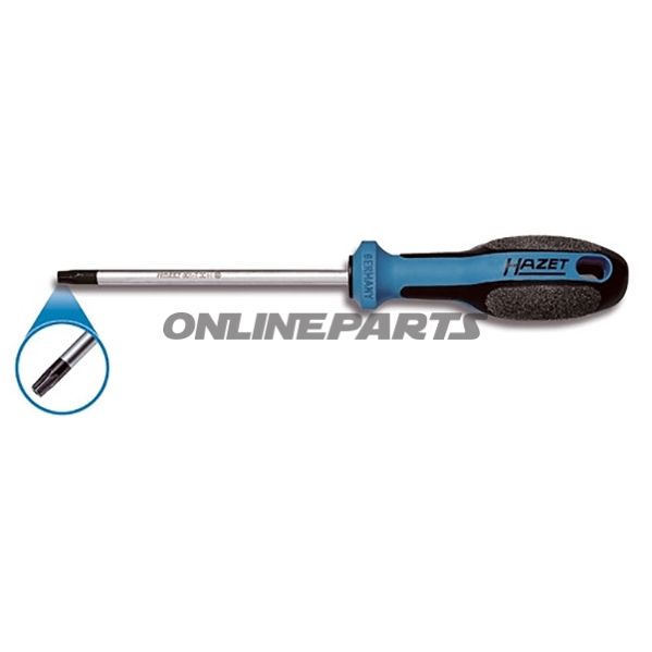 Torx Screwdriver.T20 Loch