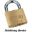 Abus Brass Padlockno 45/50