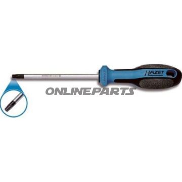 Torx Screwdriver.T10 Loch