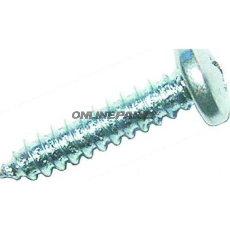 Screws 4.2X19 Din7981 A2 Stainless 100 Pieces
