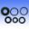 Engine Oil Seal Kit
