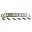 Clutch Kit Ebcplates Discs & Springs