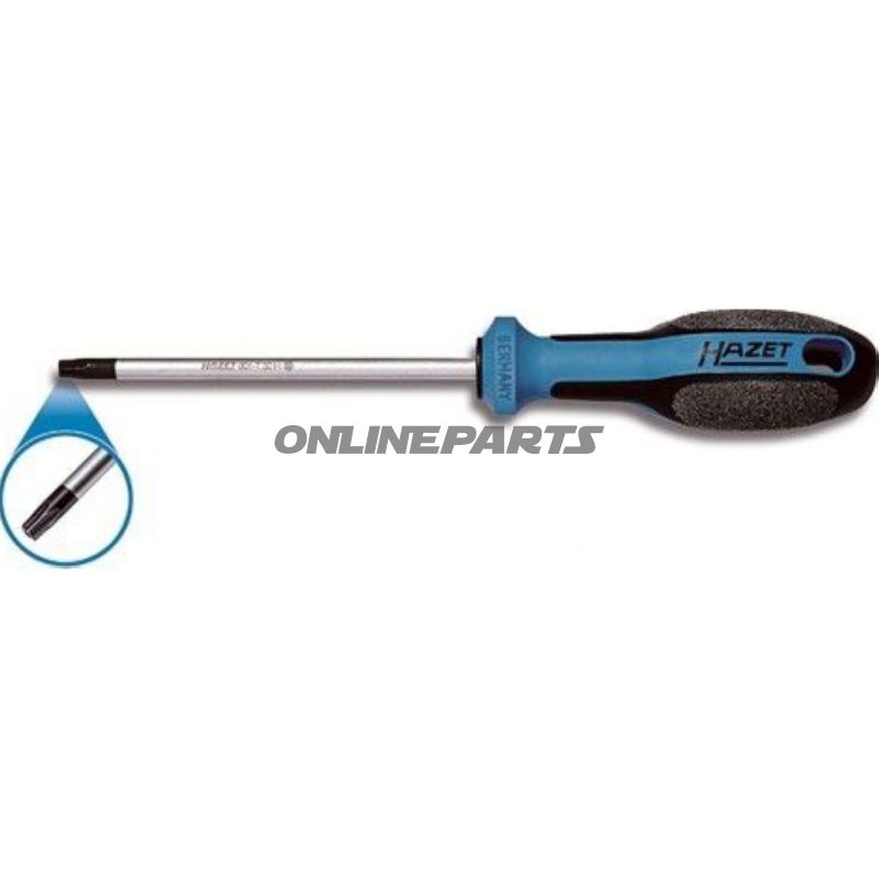 Torx Schraubendreher.T25 LOCH mit Loch
