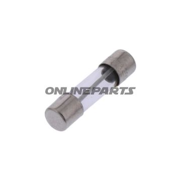 Feinsicherung TRAEGE 100MA 5X20