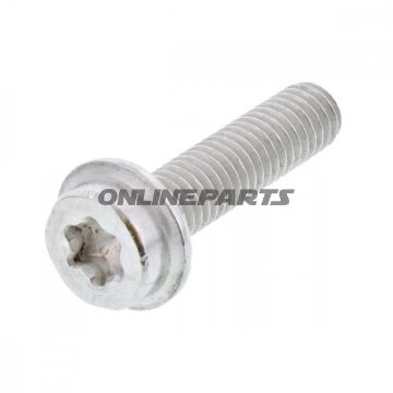 Skrue M6X1.0X30 mm