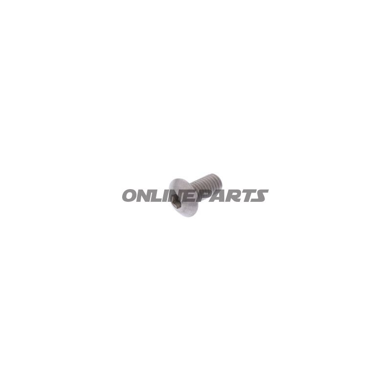 Schraube M5 x 0.8 x 10 mm